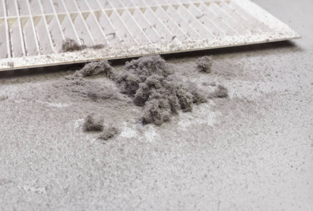 Best Local Air Duct Cleaning Services  in Fort Mitchell, KY