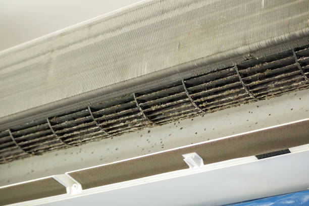 Best Air Duct Cleaning Company Near Me  in Fort Mitchell, KY